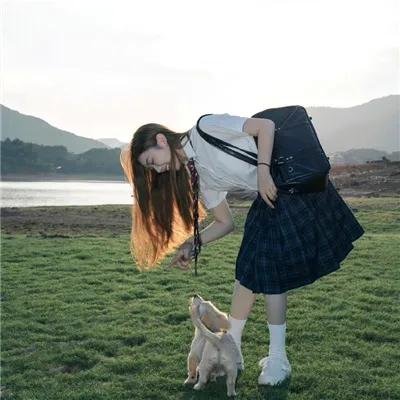 青蛙王国